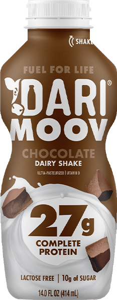 CHOCOLATE DAIRY SHAKE