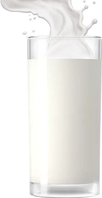 Whole Milk Protein Shake